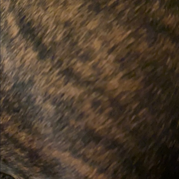 Meet your Posher, Matthew - Picture 1 of 1